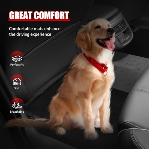 Nylon Car Floor Mats for Kia K4 – OE Fitment – Fits 2025-2026 Kia K4